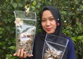Owner Dapua Amakami, Rani Devia memperagakan ikan bilih goreng buatannya
