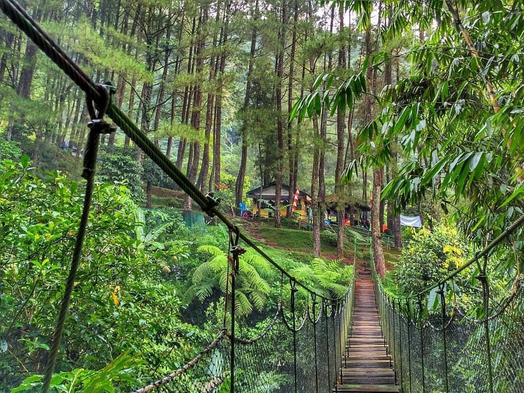 5 Tempat Wisata Di Bogor Yang Sudah Buka Kembali Jnews Online