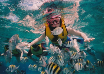 Pengen Snorkeling Tapi Gak Bisa? Ini Tips Bagi Pemula