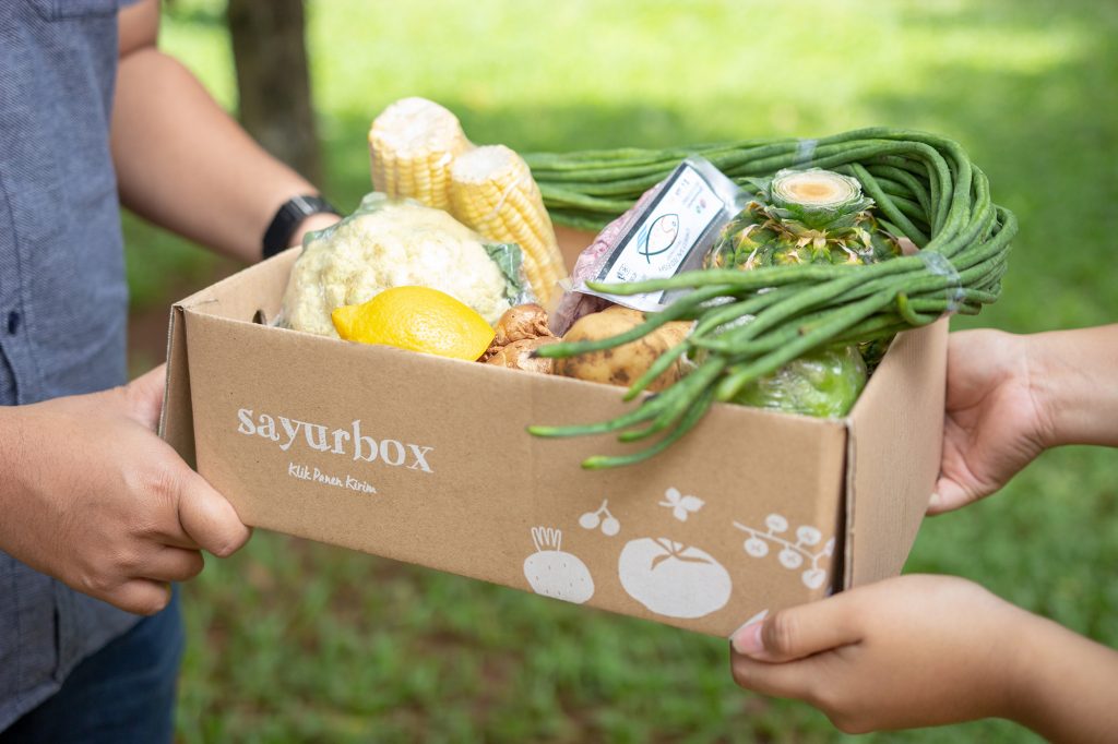 Belanja Sayur di Sayurbox