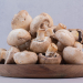 konsumsi jamur untuk makanan sehat
