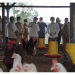 Kemenkop UKM dorong pemanfaatan KUR di kalangan peternak ayam