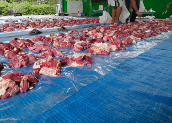 Beef cutlet on blue tarpaulin during Eid al-Adha.  The process of distributing sacrificial meat.  Beef and Goat meat for sacrifice