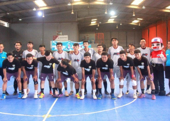 Timnas Futsal