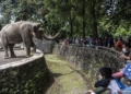 Kebun Binatang Raguna menjadi salah satu tujuan wisata favorit warga DKI Jakarta dan sekitarnya saat liburan. Foto: Antara