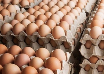 Telur merupakan bahan pokok yang dibutuhkan setiap orang. Berikut cara memilih telur yang baik dikonsumsi. Foto: Pinterest.