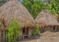 Dari Honai hingga Kariwari: Mengenal Ragam Rumah Adat di Papua