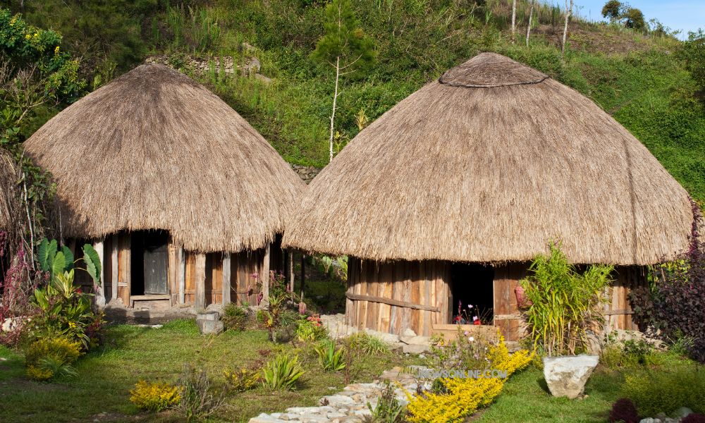 Dari Honai hingga Kariwari: Mengenal Ragam Rumah Adat di Papua