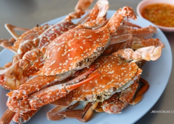 7 Resto Sea Food Terdekat Ancol dengan Banyak Variasi Menu