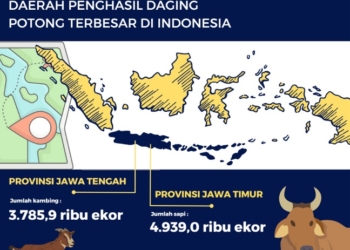 Daerah penghasil hewan potong terbanyak di Indonesia