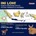 Daerah penghasil hewan potong terbanyak di Indonesia