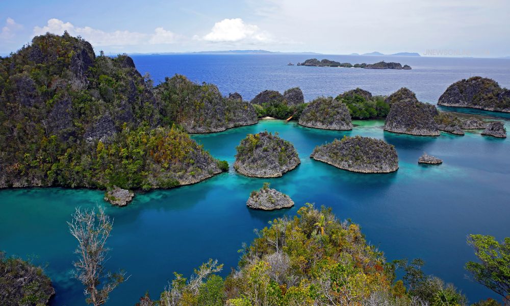 4 Pulau Tersembunyi di Raja Ampat: Menemukan Tempat yang Jarang Dikunjungi