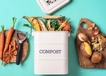 Langkah dan Tips Membuat Kompos Dapur untuk Mengurangi Sampah Organik di Rumah Tangga