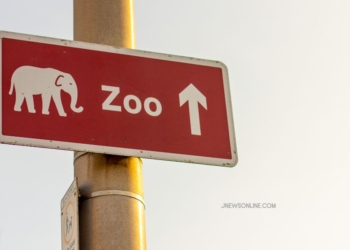 Kuliner di Sekitar Ragunan Zoo: Tempat Makan Keluarga yang Asyik