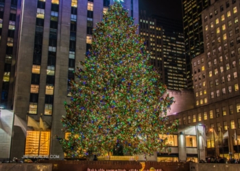 10 Pohon Natal Tertinggi dan Terbesar di Dunia