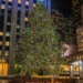 10 Pohon Natal Tertinggi dan Terbesar di Dunia