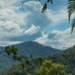 Taman Nasional Gunung Leuser