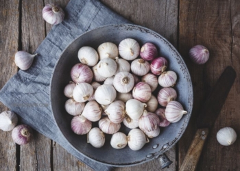 Bawang Putih Tunggal: Superfood dengan Manfaat Kesehatan Luar Biasa