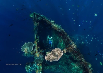 Situs Diving Bali Legendaris
