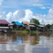 Daftar Lengkap Taman Nasional di Indonesia dengan Lokasi dan Luasnya - Danau Sentarum