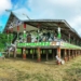 Rumah Betang: Arsitektur Komunal Unik dari Kalimantan