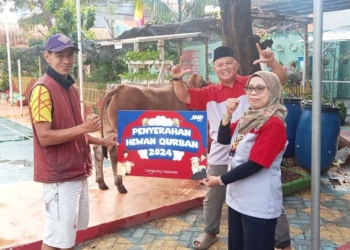 Penyerahan sapi kurban ke Masjid Al Mujahidin, kawasan Slipi, Jakarta Barat,