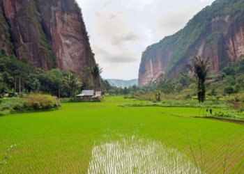 Menelusuri Lembah Harau yang Menyerupai Konohagakure