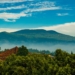 Gunung Tangkuban Perahu: Menjelajahi Flora dan Fauna Uniknya