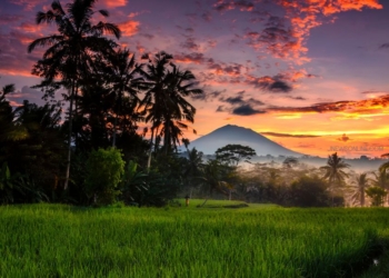 Menjelajahi Kebun Raya Gianyar