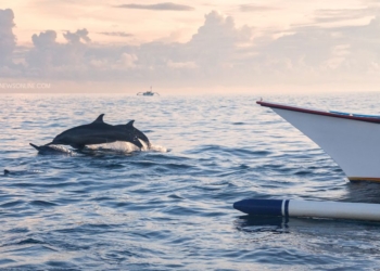 Keajaiban Bawah Laut Bali