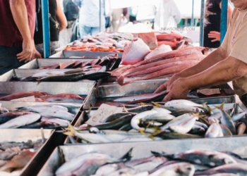 7 Pasar Ikan Terbesar di Dunia: Tempat Legendaris untuk Pencinta Seafood