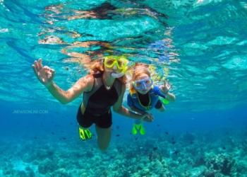 beda snorkeling dan diving