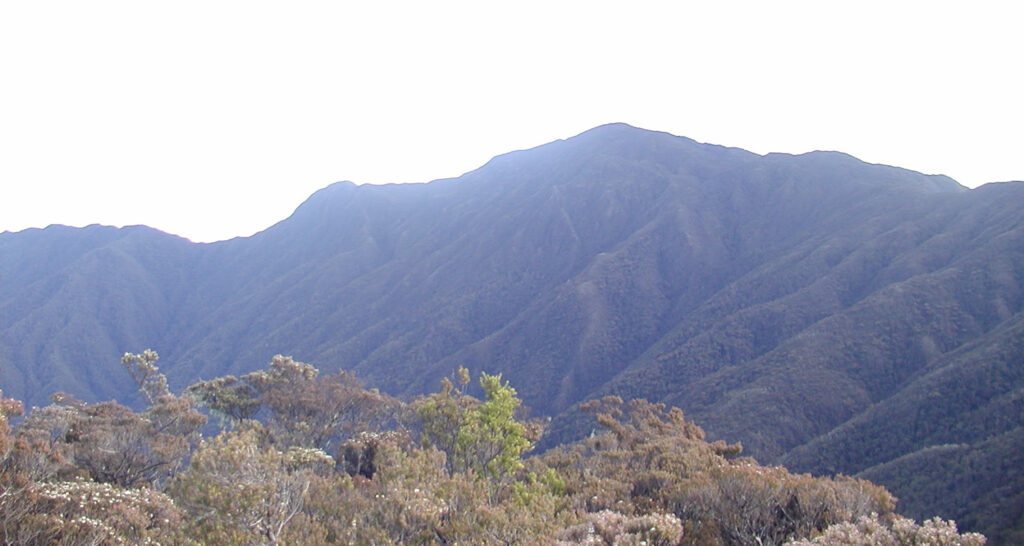 Gunung Latimojong