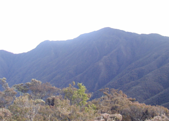 Gunung Latimojong