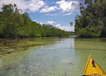 Main Kayak di Raja Ampat