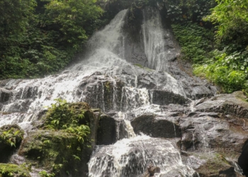 Air Terjun Campuhan: Keindahan Alam yang Tersembunyi di Bali