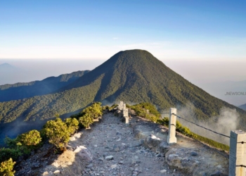 Panduan Mendaki Gunung Gede untuk Pemula