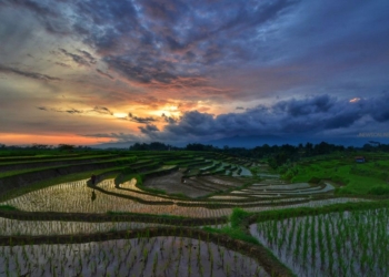 Slow Living - Magelang