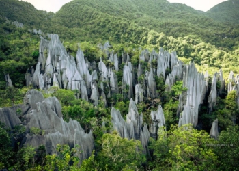 Taman Nasional Gunung Mulu