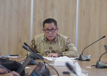 pemerintah komit lindungi konsumen layanan paylater