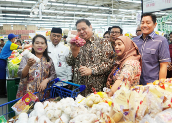 Pemerintah jaga terus konsumsi domestik tetap tumbuh