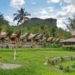 Desa Kete Kesu di Toraja yang Lestari
