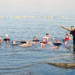 Sebagian peserta Holyland saat berendam di Laut Mati.