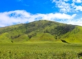 Padang Rumput Terindah di Indonesia