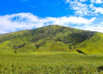 Padang Rumput Terindah di Indonesia