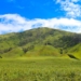 Padang Rumput Terindah di Indonesia