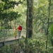 Hutan Daintree: Surga Tropis Tertua di Dunia