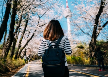Itinerary Korea untuk Trip Pertama Kali ke Negeri Ginseng