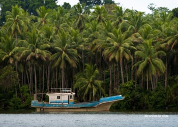 Taman Nasional Manusela yang Kaya Keanekaragaman