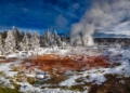 Taman Nasional Yellowstone: Rumah Beruang Grizzly